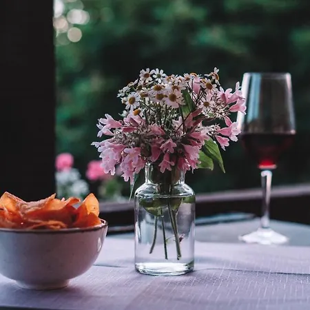 Landgasthof Zum Stern Wasserkuppe Rhoen 宾馆 波彭豪森