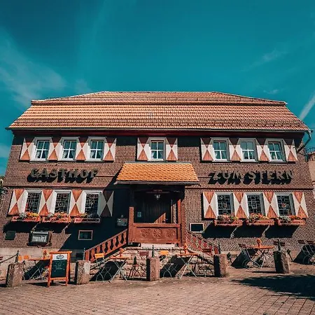 Penzion Landgasthof Zum Stern Wasserkuppe Rhoen 3*